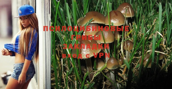 тгк Гусиноозёрск