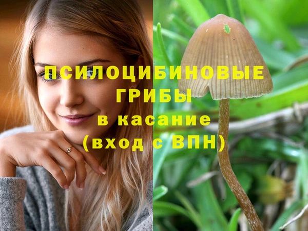тгк Гусиноозёрск