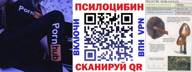 Галлюциногенные грибы Magic Shrooms  магазин  наркотиков  площадка официальный сайт  Шелехов 